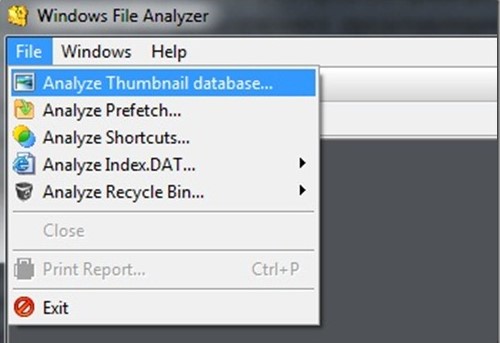 Analize Thumbnail database в программе Windows File Analyzer